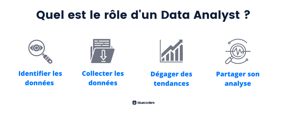 What does a Data Analyst do?